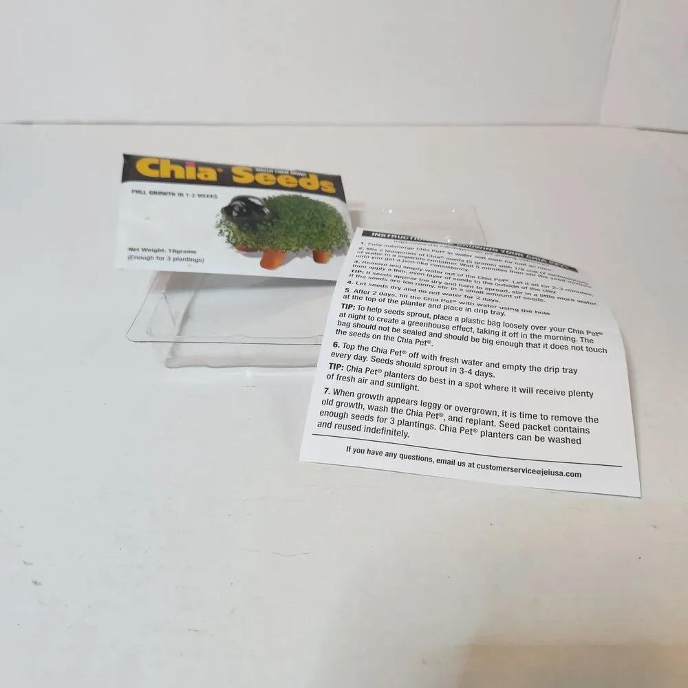 Wednesday Addams Chia Pet Grow Now for Halloween New in Box with Seeds